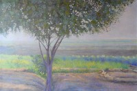 Abdullah Tahir, 28 x 42 inch, Oil on Canvas, Landscape Painting, AC-AT-003