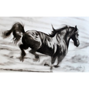 Irfan Ahmed, 30 x 48 Inch, Oil on Canvas, Horse Painting, AC-IRA-001