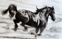 Irfan Ahmed, 30 x 48 Inch, Oil on Canvas, Horse Painting, AC-IRA-001