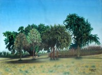 Saifullah, 18 x 24 Inch,  Acrylics on Canvas,  Landscape Painting, AC-SAF-005